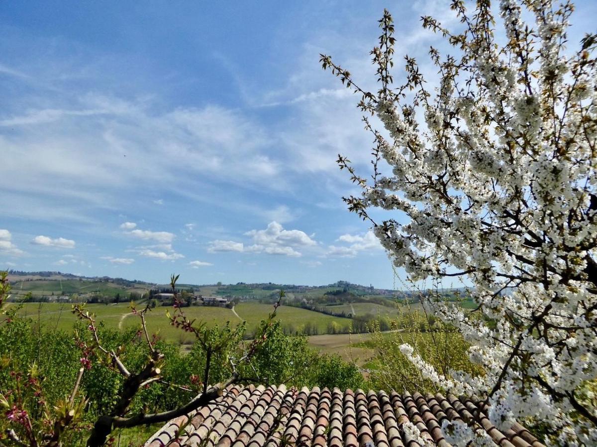 Agriturismo Bottega Di Rosanna Castagnole delle Lanze Εξωτερικό φωτογραφία
